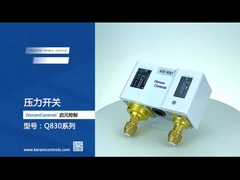 Διπλοί διευθετήσιμοι διακόπτες πίεσης ανοξείδωτου για την υδραντλία